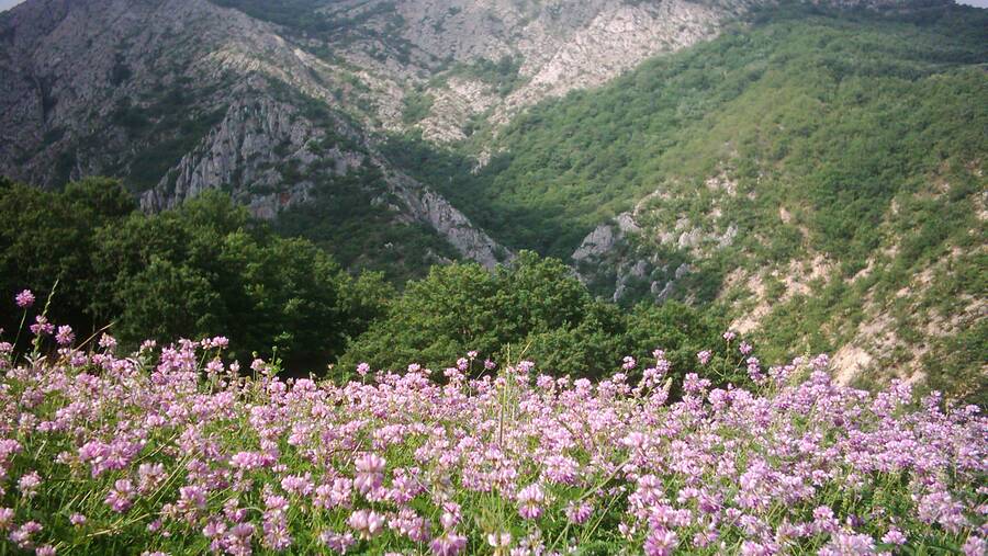 Darkesh Tourism Area